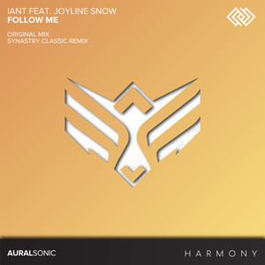 Follow Me (Synastry Classic Remix)