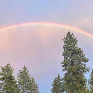 Gotta Trip (Explicit)