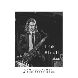 The Stroll (feat. Kris Johnson) (Radio Edit)