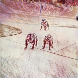 Big Dog (This That) (feat. RACHA RACH) (Explicit)