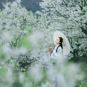 落花听雨 (伴奏)