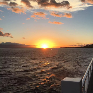 别怕我伤心 (DJ版)