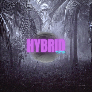 Hybrid