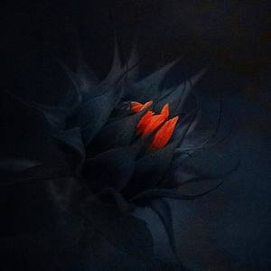 Dark Lei&DarkSam-Dark Progressive