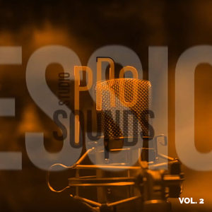 Prosounds Session, Vol. 2