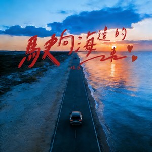驶向海边的车