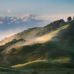 钢琴音乐传统诗人 - 星空之梦 (出行必备好听的钢琴曲)
