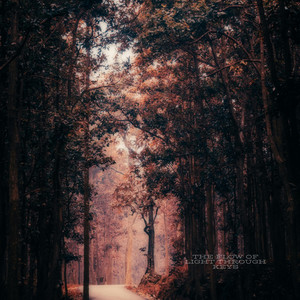 The Flow of Light Through Keys