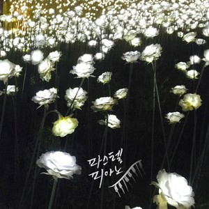 너와 함께한 여름밤