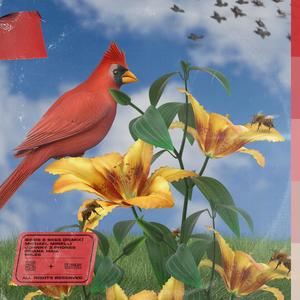 Birds & Bees (The Remixes) [Explicit]