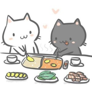 答案 (合唱Cover)