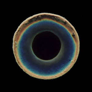 Blackhole (MoM & ANuT Remix)