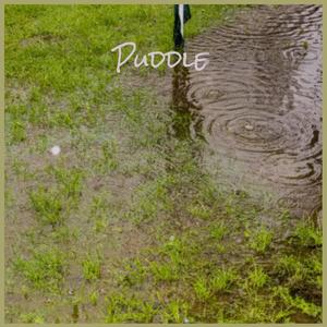 Puddle