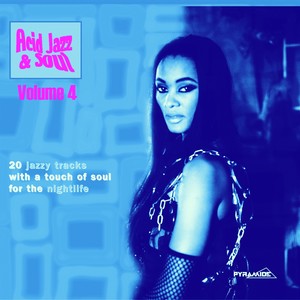 Acid Jazz & Soul, Vol. 4 (20 Jazzy Tracks with a Touch of Soul for the Nightlife)