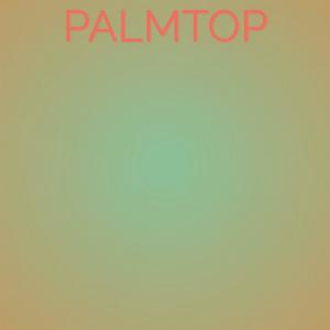 Palmtop