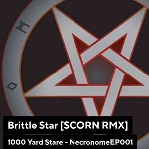 brittle star (mick harris & scorn remix)