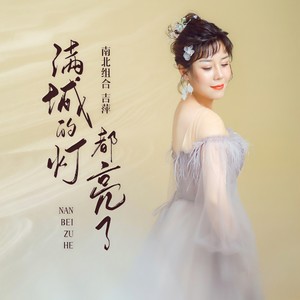 满城的灯都亮了