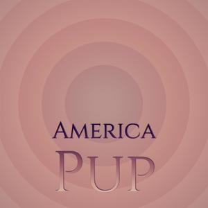 America Pup