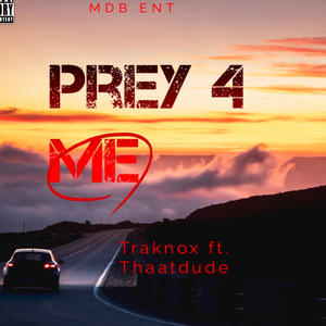 Prey 4 Me (feat. Thaatdude)