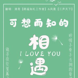 《可想而知的相遇》