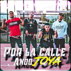 por la calle ando joya
