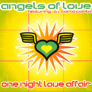 One Night Love Affair