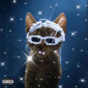 EVERYDAY HUSTLE (Explicit)