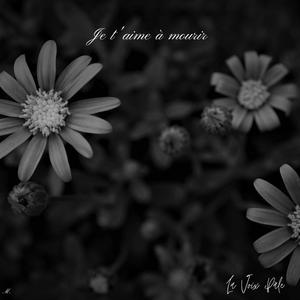 Je t'aime à mourir