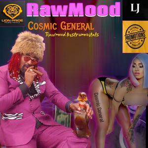 Raw Mood (Explicit)