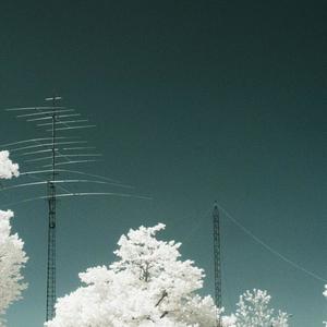 Without You(feat. Cassidot & Divdoesthings)