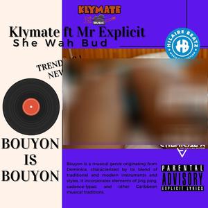 She Want Bud (feat. Mr. Explicit|Raw Version|Explicit)