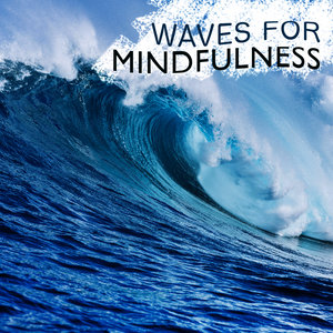 Waves of the Ocean