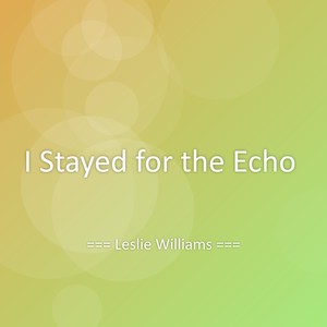 I Stayed for the Echo
