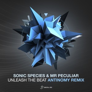 Unleash the Beat (Antinomy Remix)
