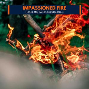 Impassioned Fire - Forest and Nature Sounds, Vol. 4