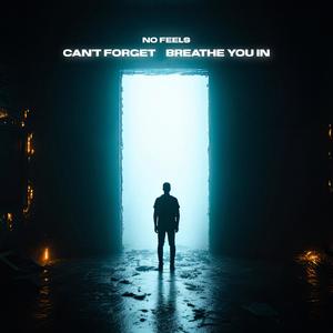 CAN'T FORGET / BREATHE YOU IN