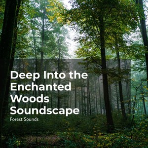 Deep Into the Enchanted Woods Soundscape