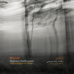 Moods - Improvisation of Setar