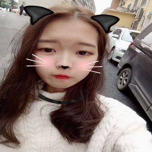 樱花树下的约定