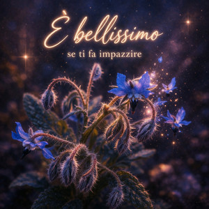 È bellissimo se ti fa impazzire