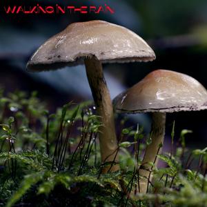 The silence in the distance