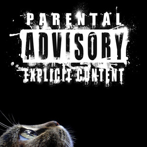 ****! Shit! (Explicit)