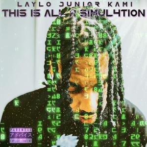 THIS IS ALL A SIMUL4TION (Explicit)