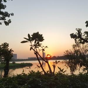 幻月伴奏 (删减版)