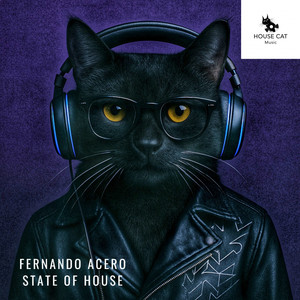 State of House (Radio Edit)