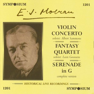 Violin Concerto - Violin Concerto: I. Allegro moderato