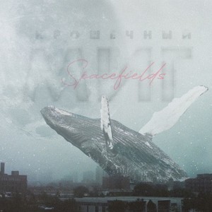 Крошечный миг