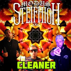 Cleaner (feat. Hegar, Niggelz & Fvkt) (Explicit)