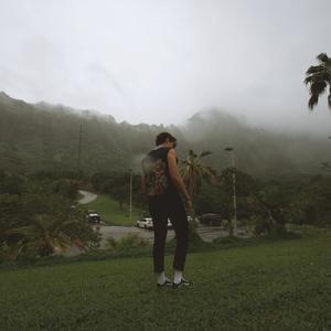 Can't Stop Won't Stop