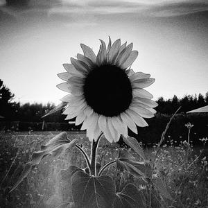 Tear where my hearth once was